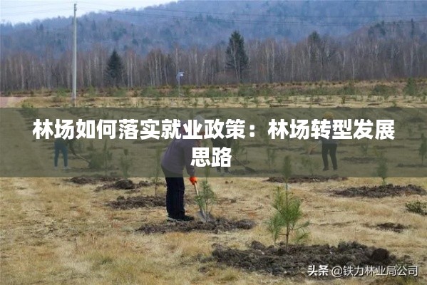 林场如何落实就业政策：林场转型发展思路 