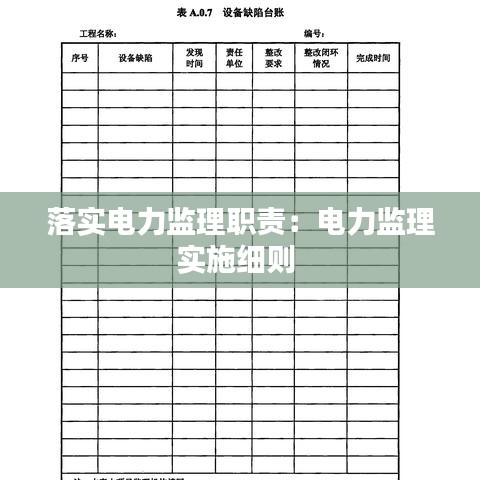 落实电力监理职责：电力监理实施细则 