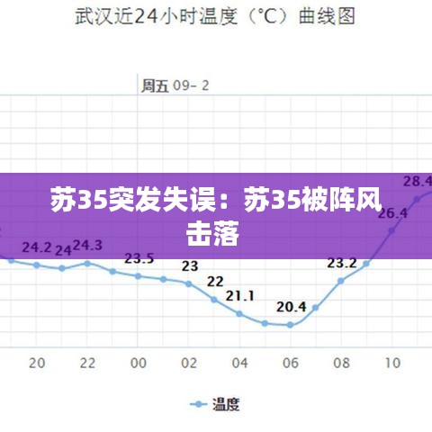 苏35突发失误：苏35被阵风击落 