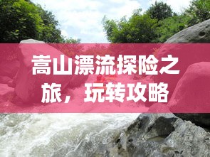 反朴归真 第2页