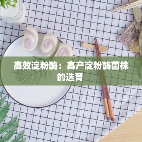 高效淀粉酶：高产淀粉酶菌株的选育 