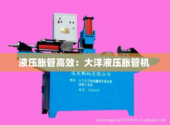液压胀管高效：大洋液压胀管机 