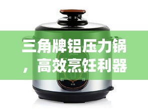 三角牌铝压力锅，高效烹饪利器，百度热推之选