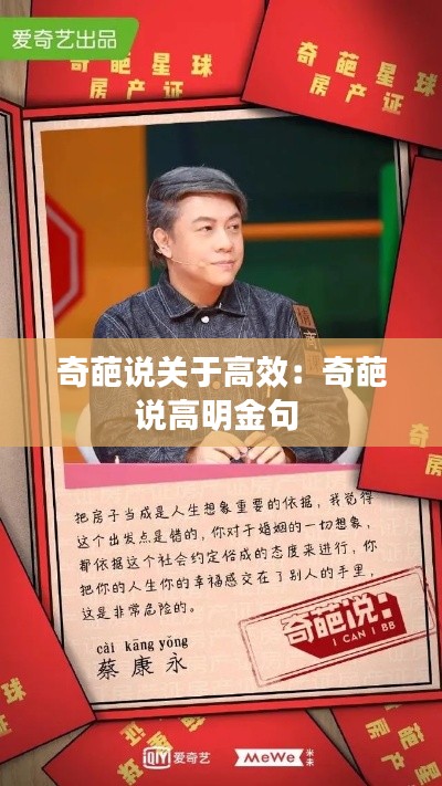 奇葩说关于高效：奇葩说高明金句 