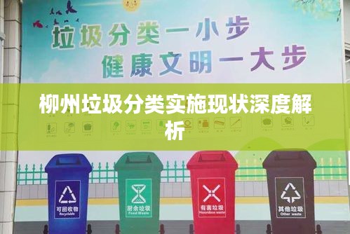 柳州垃圾分类实施现状深度解析