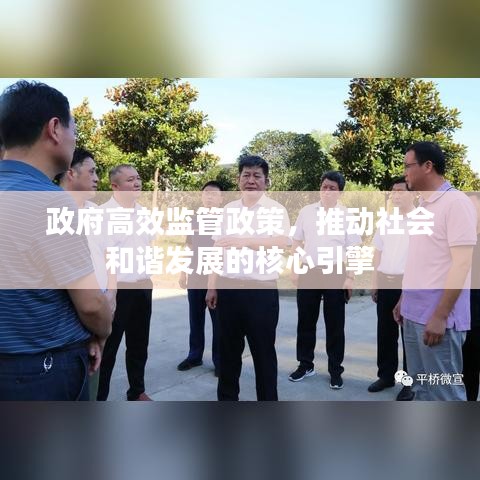 轻飞曼舞 第2页