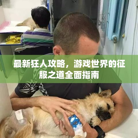 最新狂人攻略，游戏世界的征服之道全面指南