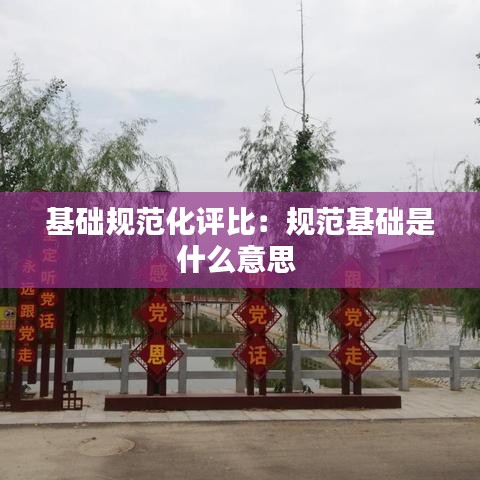 基础规范化评比：规范基础是什么意思 