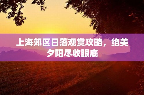 上海郊区日落观赏攻略，绝美夕阳尽收眼底