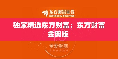 独家精选东方财富：东方财富金典版 