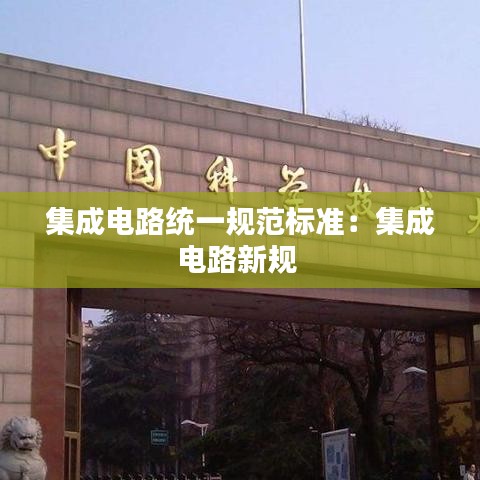 集成电路统一规范标准：集成电路新规 