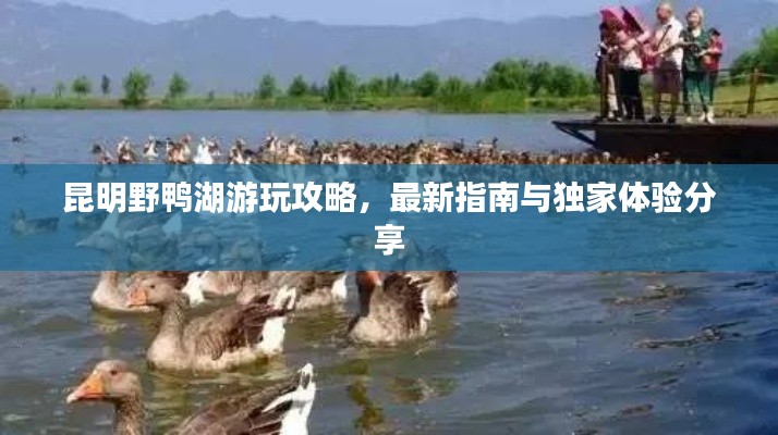 昆明野鸭湖游玩攻略，最新指南与独家体验分享
