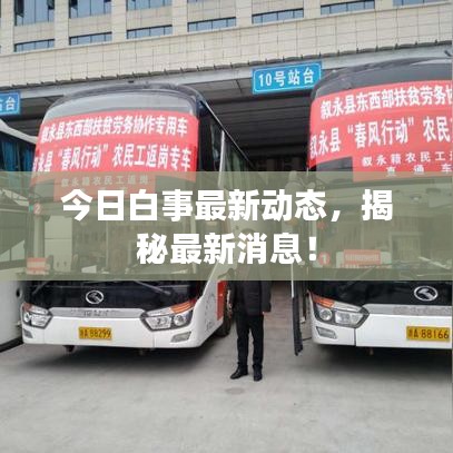 今日白事最新动态，揭秘最新消息！