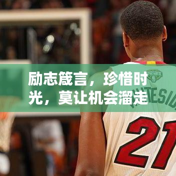 励志箴言，珍惜时光，莫让机会溜走——励志语录精选