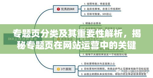 专题页分类及其重要性解析，揭秘专题页在网站运营中的关键作用！