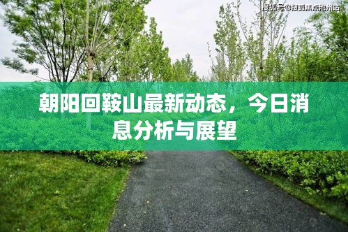 朝阳回鞍山最新动态，今日消息分析与展望