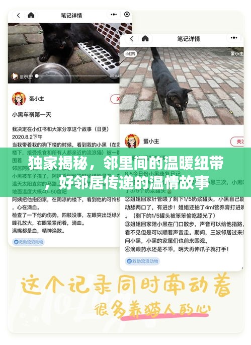 独家揭秘，邻里间的温暖纽带，好邻居传递的温情故事