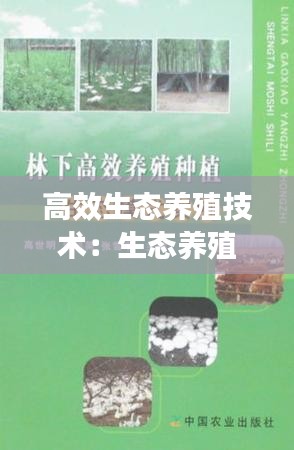 勇往直前 第2页