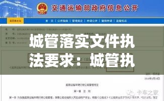 城管落实文件执法要求：城管执法条款 