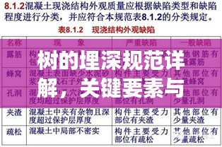 树的埋深规范详解，关键要素与标准解读