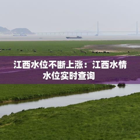 江西水位不断上涨：江西水情水位实时查询 