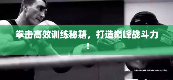拳击高效训练秘籍，打造巅峰战斗力！
