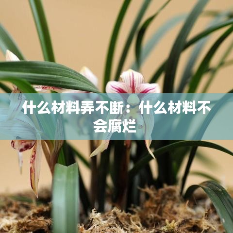 什么材料弄不断：什么材料不会腐烂 