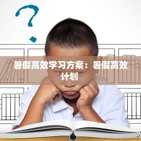 暑假高效学习方案：暑假高效计划 
