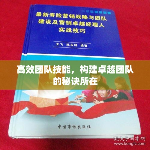 高效团队技能，构建卓越团队的秘诀所在