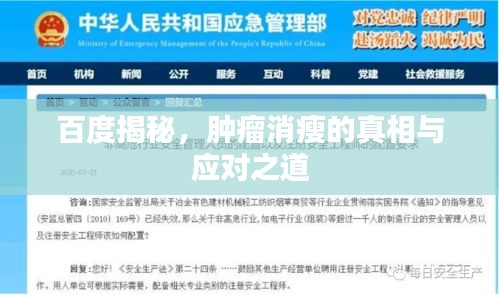 百度揭秘，肿瘤消瘦的真相与应对之道