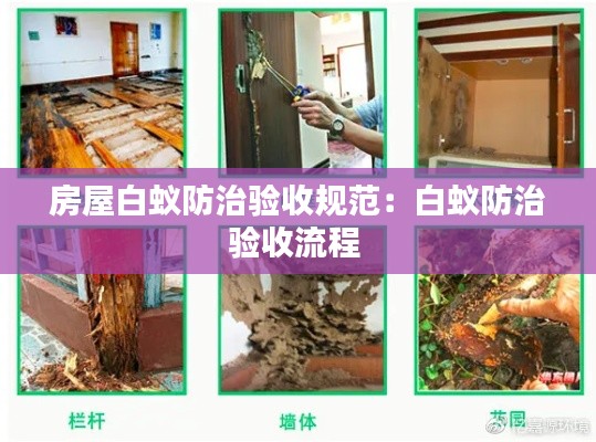 房屋白蚁防治验收规范：白蚁防治验收流程 