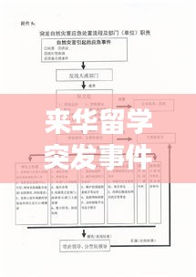 来华留学突发事件处置策略研究