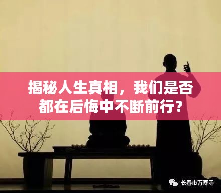 揭秘人生真相，我们是否都在后悔中不断前行？