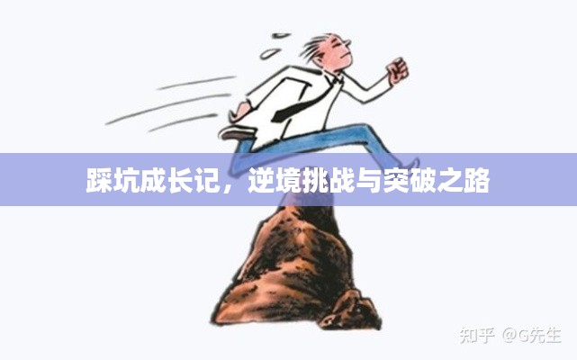 踩坑成长记，逆境挑战与突破之路