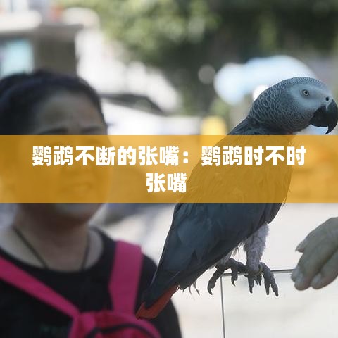 鹦鹉不断的张嘴：鹦鹉时不时张嘴 