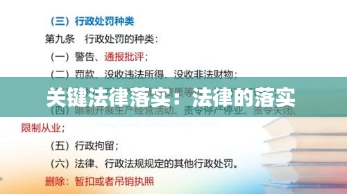 关键法律落实：法律的落实 