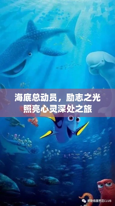 海底总动员，励志之光照亮心灵深处之旅