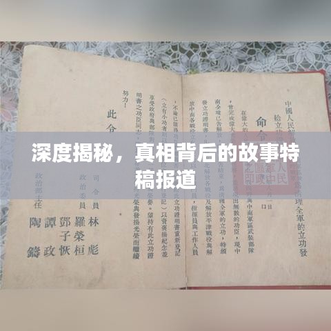 深度揭秘，真相背后的故事特稿报道