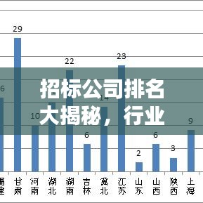 招标公司排名大揭秘，行业影响力深度解析！