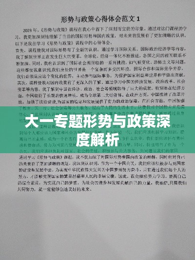 大一专题形势与政策深度解析