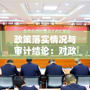 政策落实情况与审计结论：对政策措施审计的建议 