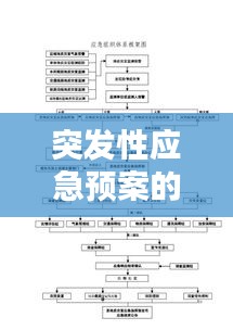 突发性应急预案的意义：突发应急预案流程 