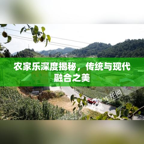 农家乐深度揭秘，传统与现代融合之美