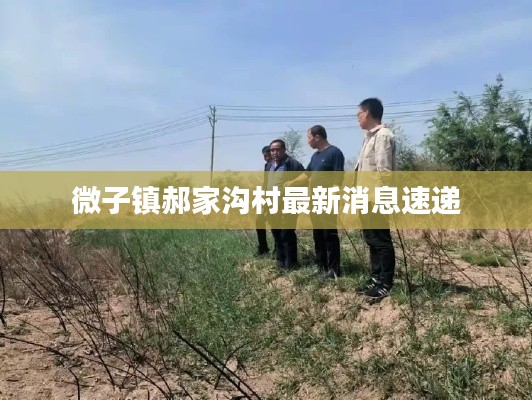 微子镇郝家沟村最新消息速递