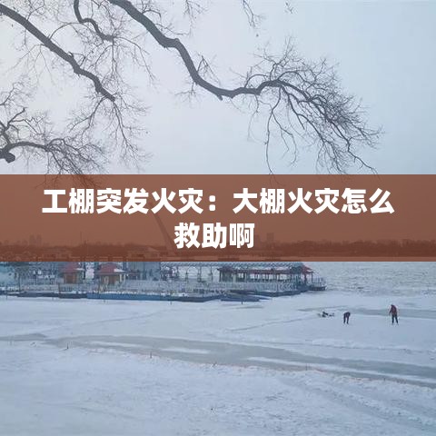 工棚突发火灾：大棚火灾怎么救助啊 