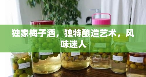 独家梅子酒，独特酿造艺术，风味迷人