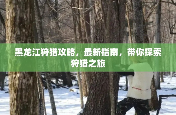 黑龙江狩猎攻略，最新指南，带你探索狩猎之旅