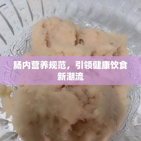 肠内营养规范，引领健康饮食新潮流