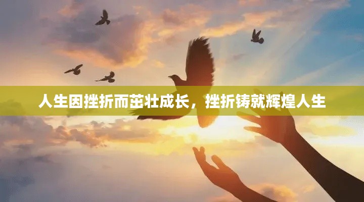 人生因挫折而茁壮成长，挫折铸就辉煌人生