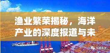 渔业繁荣揭秘，海洋产业的深度报道与未来展望